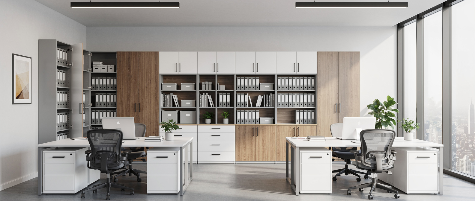 Professional storage environment